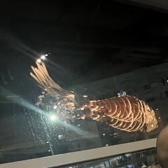 Иван Батунов, 27.09.1988