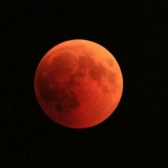 Ольга Турнова, 18.01.2002