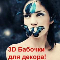 Вера Рада, Петрозаводск