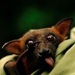 Ирина Грачева, 29.05, Санкт-Петербург