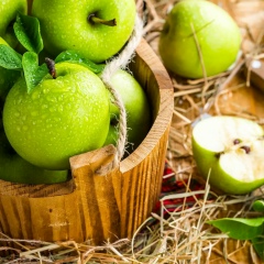 Елена Каргина, 03.09.1991, Шымкент