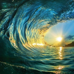 Dmitry Alekseevich, Самара