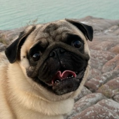 Роман Константинович, 10.02, Новосибирск