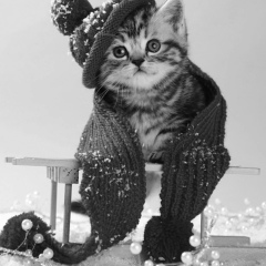 Лёша Геценко, 24.03.1987, Киев