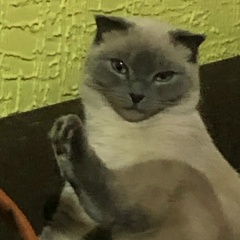 Данил Маслин, 24.06.2000