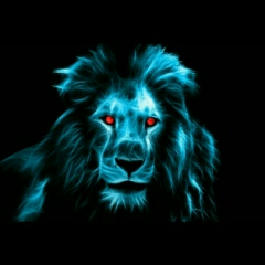 Максим Никитин, Красноярск