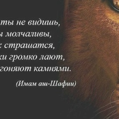 Белла Астамирова