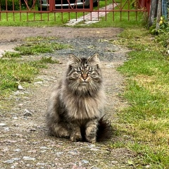 Александр Кац, 22.09, Санкт-Петербург