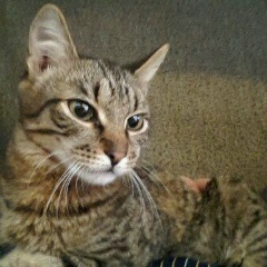 Пётр Грянкин, 12.11.1980, Самара