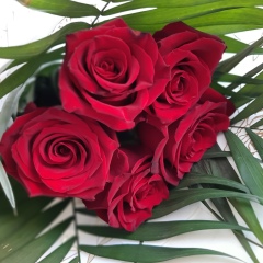 Кундыз Сарсенбаева