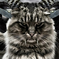 Размик Бдеян, 27.12.1988, Москва