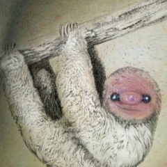 Роман Романов