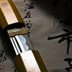 Василий Гемоглобинов, 22.03, Одесса