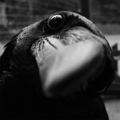 Алексей Шайзаков, 12.08.1988, Москва (деревня)