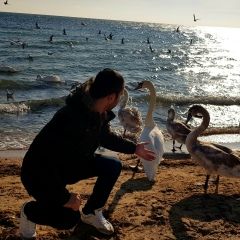 Мурад Манафов, 17.01, Москва