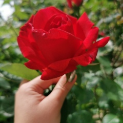 Ирина Андреева, 10.04, Геленджик