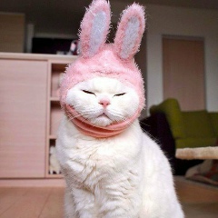 Анна Веретельник, 15.06, Москва