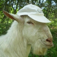 Егор Комаров, 16.08.2004, Балашиха