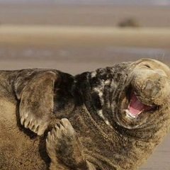 Николай Васько, 08.05.1988, Минск