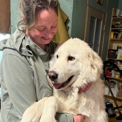 Софья Никонова, Санкт-Петербург