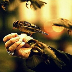 Дина Иминова, 01.02.1994, Алматы