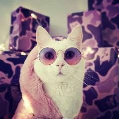 Александра Белая, 13.06.1993, Екатеринбург