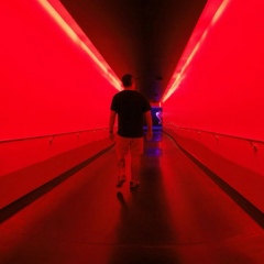 Денис Михайлов, 06.05.1988, Санкт-Петербург