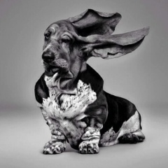 Олег Домницкий, 01.09.1991, Los Angeles