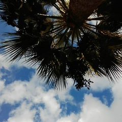 Александр Чиширский, 08.03, Самара