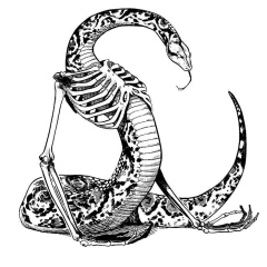 Богдан Жданов, 28.06.1995, Нефтекамск