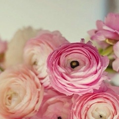 Нюся Соловьева, 20.04.1988, Москва