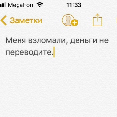 Дмитрий Арефьев, Санкт-Петербург