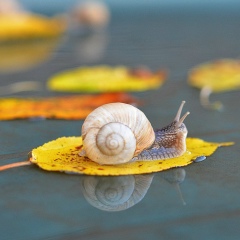 Марина Улитина, 13.02.1984, Санкт-Петербург