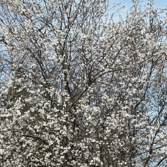 Александр Иванов, 01.01, Bangkok