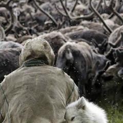 Тимур Килоев, 01.10