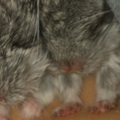 Оля Ковтун, 08.05.1987, Киев