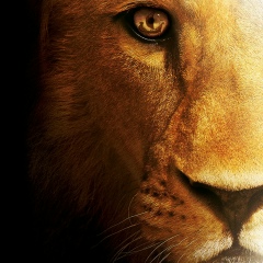 Мухамед-Амир Кобаев, 08.08