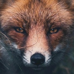 Екатерина Ишкинина, 12.12, Ижевск