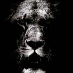 Хава Абубакарова, 03.12.1936