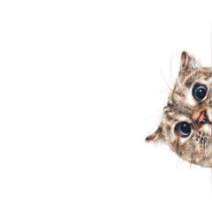 Пётр Крылов, 17.04