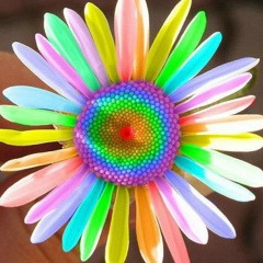 Света Новак, 14.03, Бровары