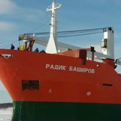 Радик Баширов, Толбазы