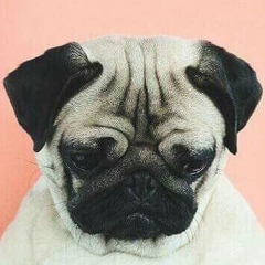 Азер Забидов, 01.01, Казань