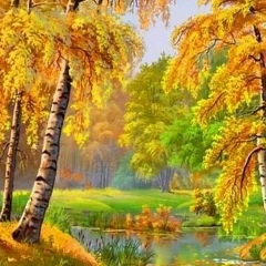 Владимир Иванов, 04.02, Санкт-Петербург