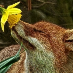 Олеся Бибина, 30.12.1983, Самара