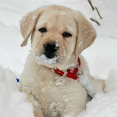 Павел Балыбердин, 20.12, Москва