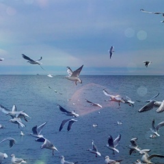 Ann Pogodina, 03.10, Одесса