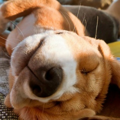 Максим Подзоров, 17.02, Моршанск