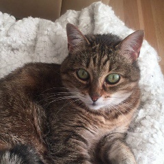 Лена Крикун, 08.01