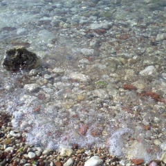 Андрей Осипов, Киев